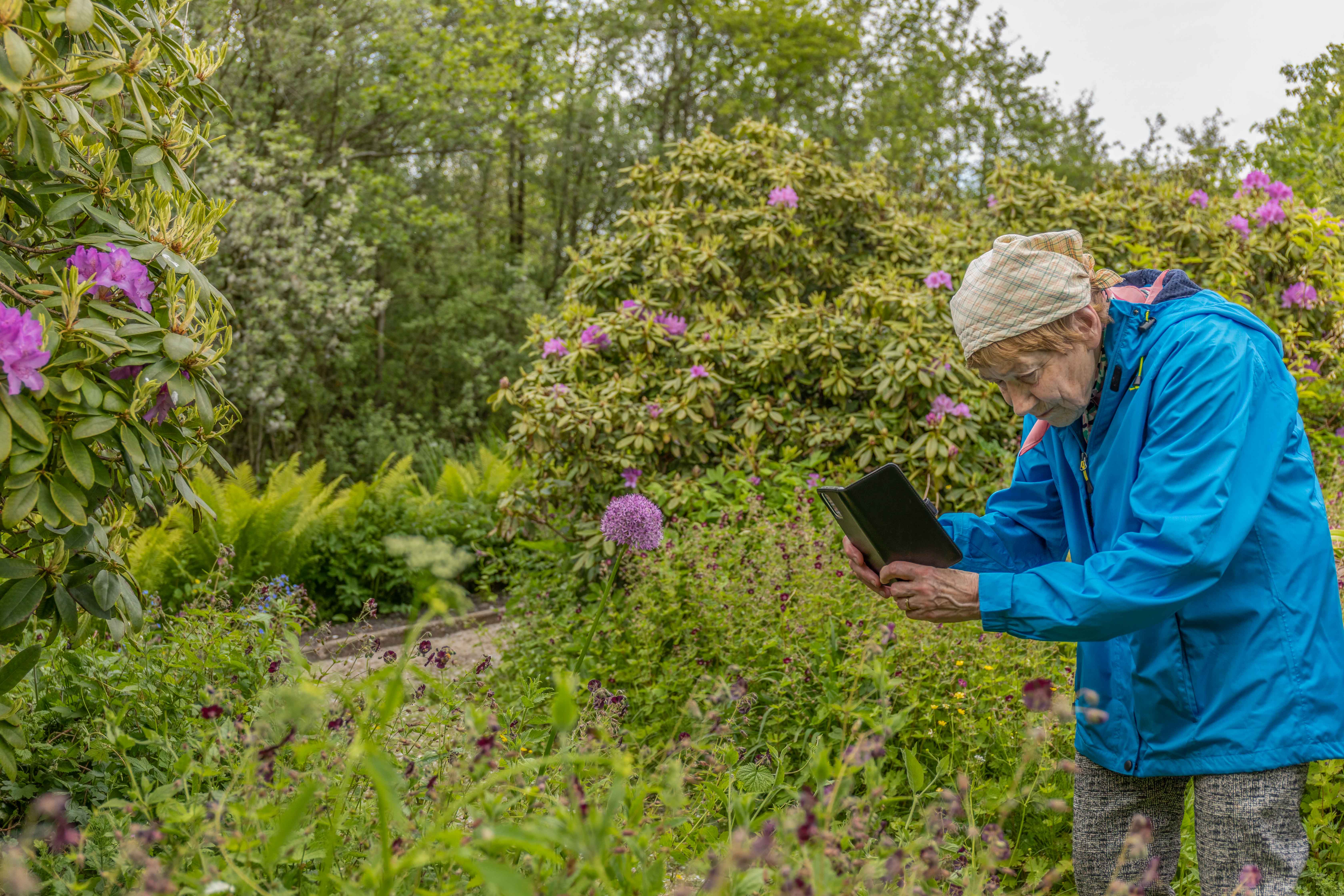 Mindful Natuurfotografie